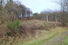 Oberhalb/nördlich &quot;Oben in der Kirschwiese&quot; - unterhalb/südlich &quot;Oberste Kirschköpfchen&quot; - untere Fläche rechts neben &quot;Im Hütchen&quot;