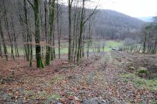 Oberhalb/nördlich &quot;Oben in der Kirschwiese&quot; - unterhalb/südlich &quot;Oberste Kirschköpfchen&quot; - untere Fläche rechts neben &quot;Im Hütchen&quot;