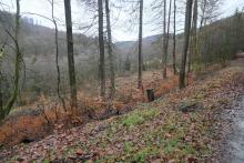 Schutzgebiet = FFH, NSG, Biotop §30, Landschaftsschutzgebiet - nahe &quot;Im Grund unterm Hülshofe&quot;