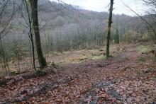 Schutzgebiet = FFH, NSG, Biotop §30, Landschaftsschutzgebiet - nahe &quot;Im Grund unterm Hülshofe&quot;