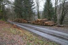 Schutzgebiet = FFH, NSG, Biotop §30, Landschaftsschutzgebiet - nahe &quot;Im Grund unterm Hülshofe&quot;