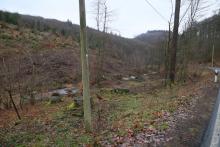 an K53 - Nassehecke - kurz vor Hülshof - angrenzend an NSG und FFH &quot;Laasphe&quot;