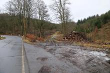 an K53 - Nassehecke - kurz vor Hülshof - angrenzend an NSG und FFH &quot;Laasphe&quot;