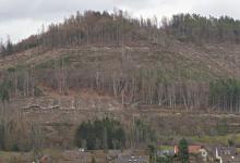An der Heide - Niederlaasphe - oberhalb Friedhof - Landschaftsschutzgebiet