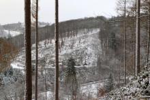 Lehrberg - östliche Flanke - oberhalb Wanderweg L5/L6/L8