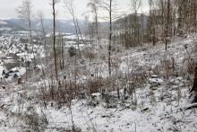 Lehrberg - östliche Flanke - oberhalb Wanderweg L5/L6/L8