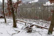 Lehrberg - S/W Flanke