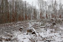 Lehrberg - S/W Flanke