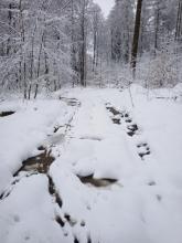 Tiefe mit Wasser gefüllte Farben machen diesen Wanderweg nahezu unpassierbar.