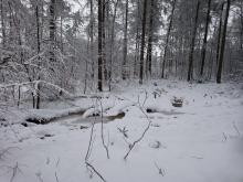 Tiefe mit Wasser gefüllte Farben machen diesen Wanderweg nahezu unpassierbar.