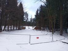 Die verbliebenen Grünen Flächen sind inzwischen gefühlt kleiner als die Kahlschläge.