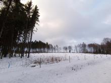 Die verbliebenen Grünen Flächen sind inzwischen gefühlt kleiner als die Kahlschläge.