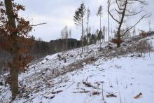 Schafsberg - Bad Laasphe-Süd 5