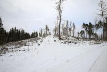 Schafsberg - Bad Laasphe-Süd 5