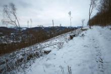 Buhl-Berg - N/W-Flanke