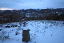 Buhl-Berg - N/W-Flanke