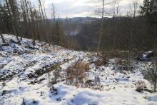 Südlich Teufelskanzel - Bad Laasphe-Nord 37