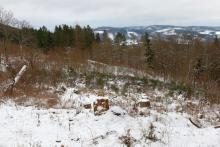 Unterhalb Hugo-Kracht-Hütte -  am Wanderweg A5 / L1 / L - im Kurvenbereich