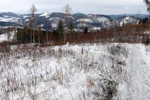 Nördlich &quot;Gebrannte Kopf&quot; - Bad Laasphe-Süd 9