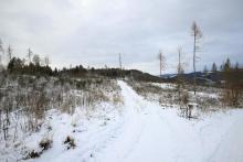 Nördlich &quot;Gebrannte Kopf&quot; - Bad Laasphe-Süd 9