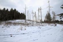 Nördlich &quot;Gebrannte Kopf&quot; - Bad Laasphe-Süd 9