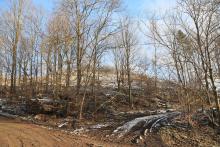 West/Süd Hang &quot;Fang&quot;- gegenüber &quot;Küppelchen&quot; - Bad Laasphe-Nord 39