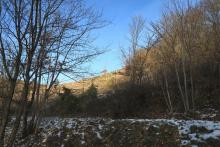 West/Süd Hang &quot;Fang&quot;- gegenüber &quot;Küppelchen&quot; - Bad Laasphe-Nord 39