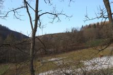 Küppelchen - Wanderweg L4 ober- und unterhalb - Bad Laasphe-Nord 38