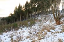 Unterhalb Hugo-Kracht-Hütte -  am Wanderweg A5 / L1 / L - im Kurvenbereich