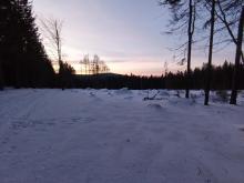 Kahlschlag am Fuße der Lausche