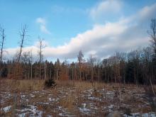 Wieder ein Kahlschlag