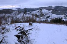 vom Gipfel &quot;Gebrannte Kopf&quot; in S/W-Richtung bis zur Wildwiese mit Hochsitz und dem Waldweg