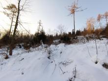 Wieder ein Kahlschlag