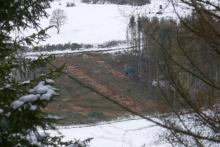 Wäldchen - zwischen &quot;Rabental&quot; und &quot;Hinterm Feldberg rechts des Weges&quot; - zwischen Bad Laasphe und Puderbach