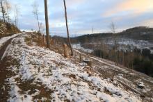 Waldweg oberhalb Wanderweg A5/L1/L von Hugo-Kracht-Hütte - W/S vom &quot;Gebrannten Kopf&quot;