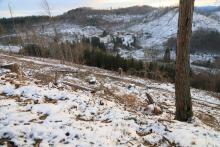 Waldweg oberhalb Wanderweg A5/L1/L von Hugo-Kracht-Hütte - W/S vom &quot;Gebrannten Kopf&quot;