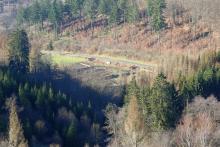 Waldstück direkt an der K53 zwischen Bad Laasphe - und Richstein - Geisenstein