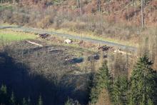 Waldstück direkt an der K53 zwischen Bad Laasphe - und Richstein - Geisenstein
