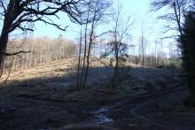 Hanglage - zwischen &quot;Im Grund unterm Hülshofe&quot; und &quot;Nassehecke&quot;