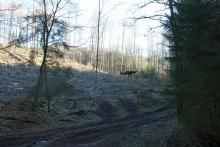 Hanglage - zwischen &quot;Im Grund unterm Hülshofe&quot; und &quot;Nassehecke&quot;