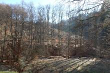 Hanglage - zwischen &quot;Im Grund unterm Hülshofe&quot; und &quot;Nassehecke&quot;