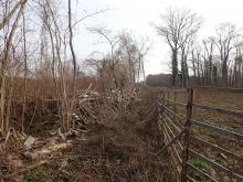 Abgeräumte Biomasse