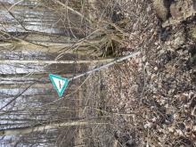 Naturschutzgebiet Ochsengrundweg