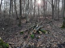 Istrup Gemeinde Brakel/Höxter ab Heimkehrerkapelle