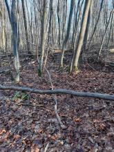 Istrup Gemeinde Brakel/Höxter ab Heimkehrerkapelle