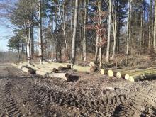 Modexen Kreis Höxter