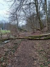 Rheder Naturschutzgebiet am Sieseberg