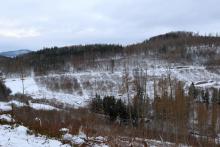 Alte Mülldeponie - oberhalb &quot;In der Richtel&quot; - unterhalb &quot;Kirschboden&quot; - von &quot;Kirschköpfe&quot; bis &quot;Sellenberg&quot;