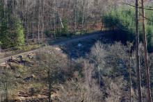 angrenzend von &quot;Im Grund&quot; - Niederlaasphe - unterhalb &quot;Faule Seite&quot;