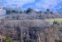 angrenzend &quot;Peterschlenke&quot; in Puderbach - westlich davon